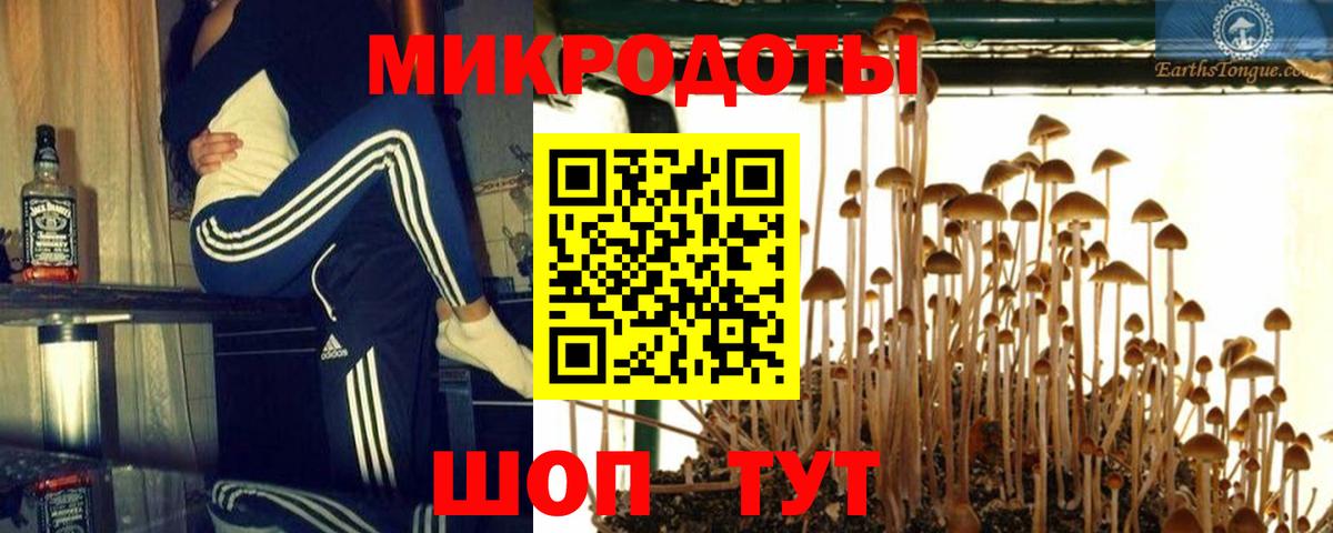 Псилоцибиновые грибы MAGIC MUSHROOMS  Вход с VPN  Уссурийск 