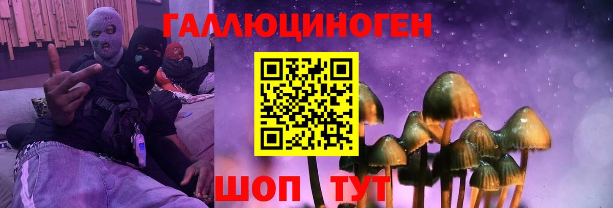 Галлюциногенные грибы мицелий Уссурийск